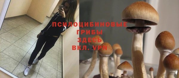 наркотики Абаза